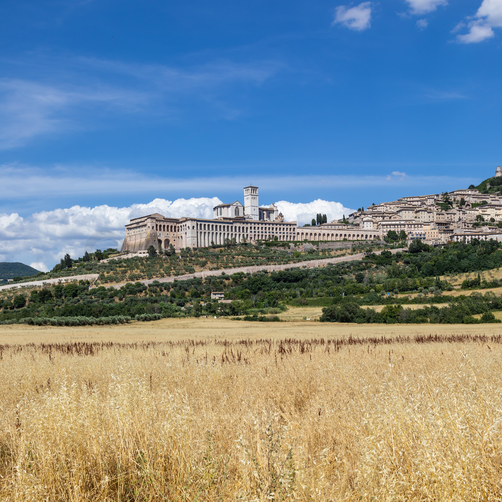 ̲ǵİ塣Ҫʥ˹ãBasilica di San Francesco