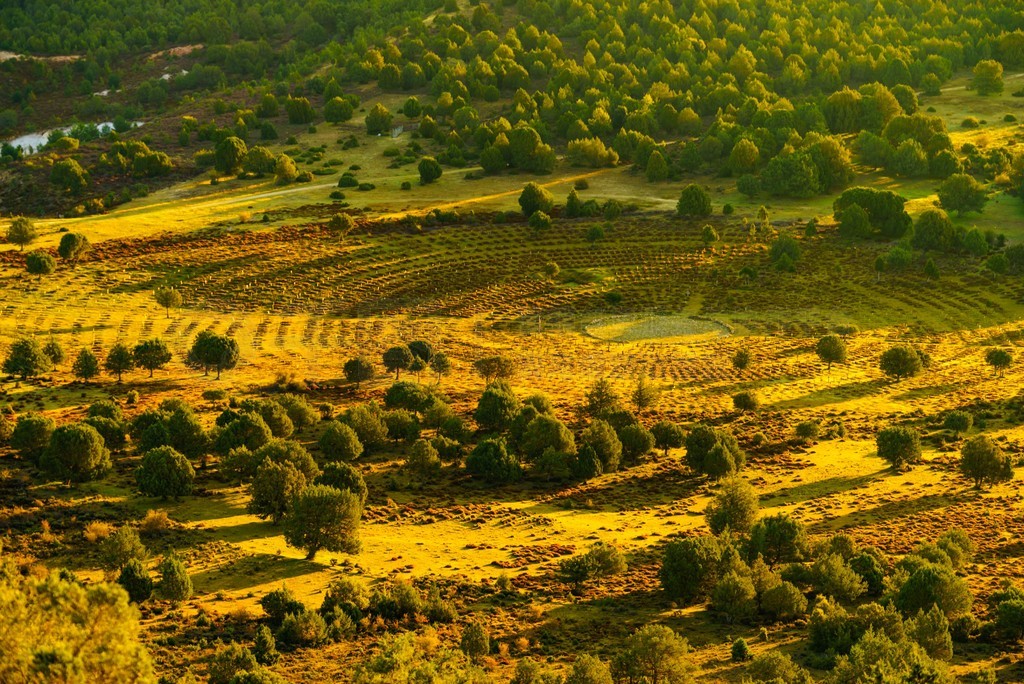 ɫɽȣӵо޸ɽĹ (Sad Hill Cemetery)һ鹹ԲĹأƬƽڿ͡С濴ɽĹԲĹأ˹