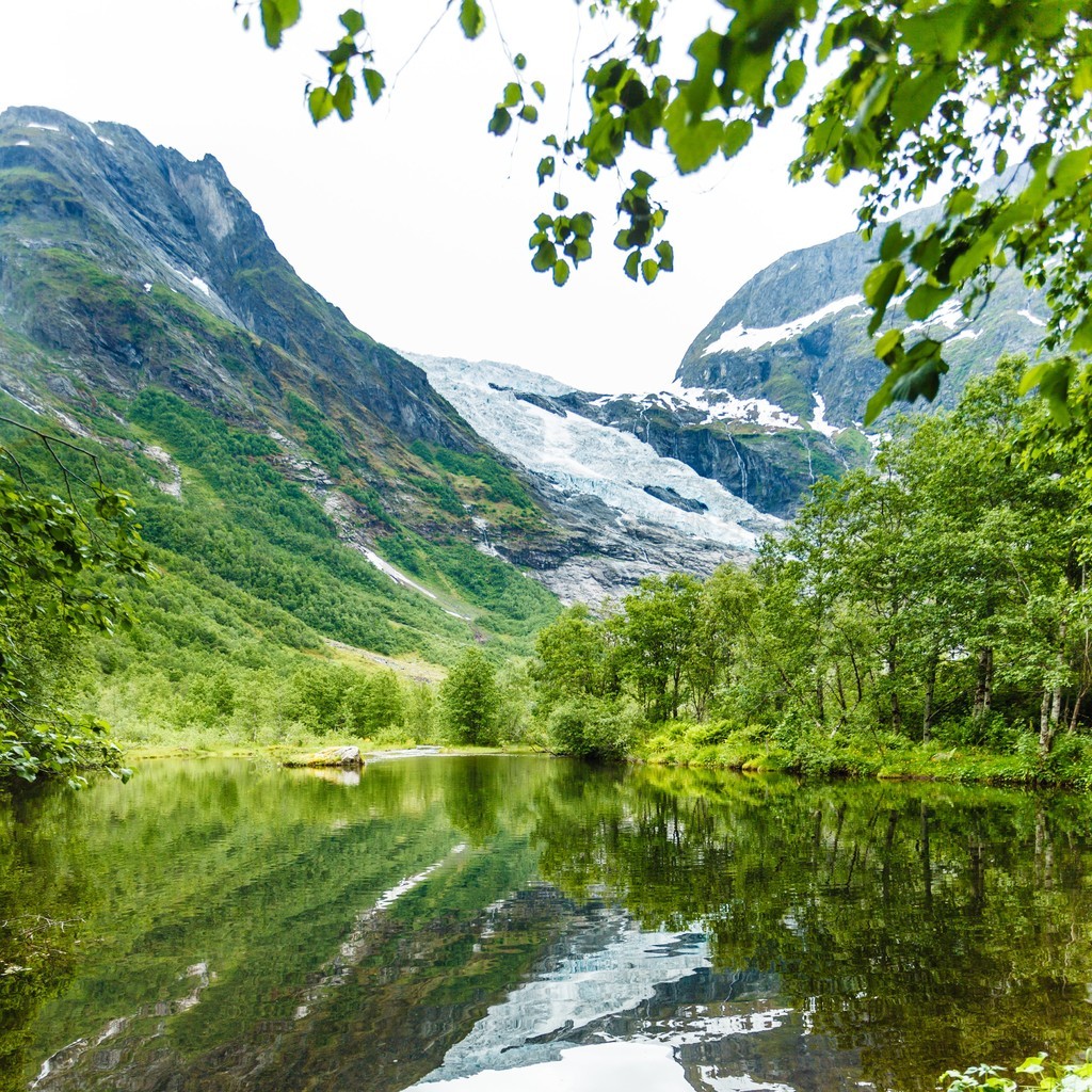 Ų Sogn og Fjordane ɴ Fjaerland  Boyabreen ͺۡ Ų Boyabreen ͺ