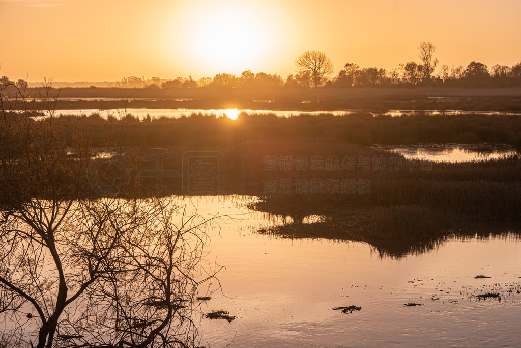 ߶ Ria de Aveiro 侰