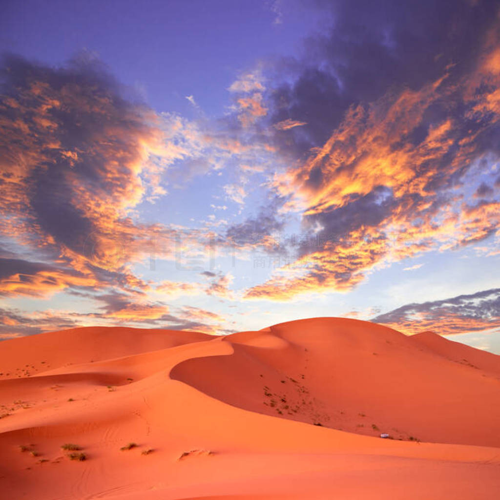 ɳĮеȫ.λĦMerzougaɳĮDunes Erg Chebbi.ɳ̲,