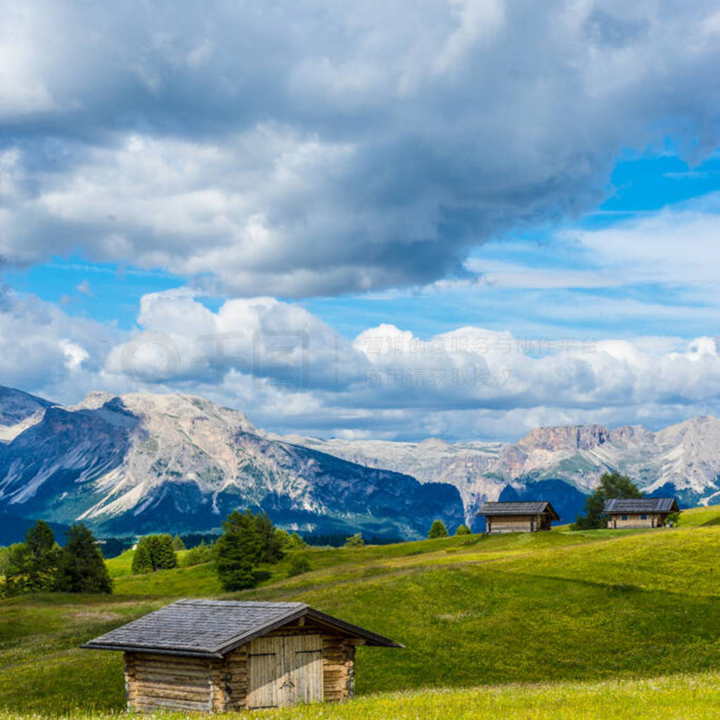 , Alpe di Siusi, Seiser Alm  Sassolungo Langkofel Dolomite,һľɹȲ