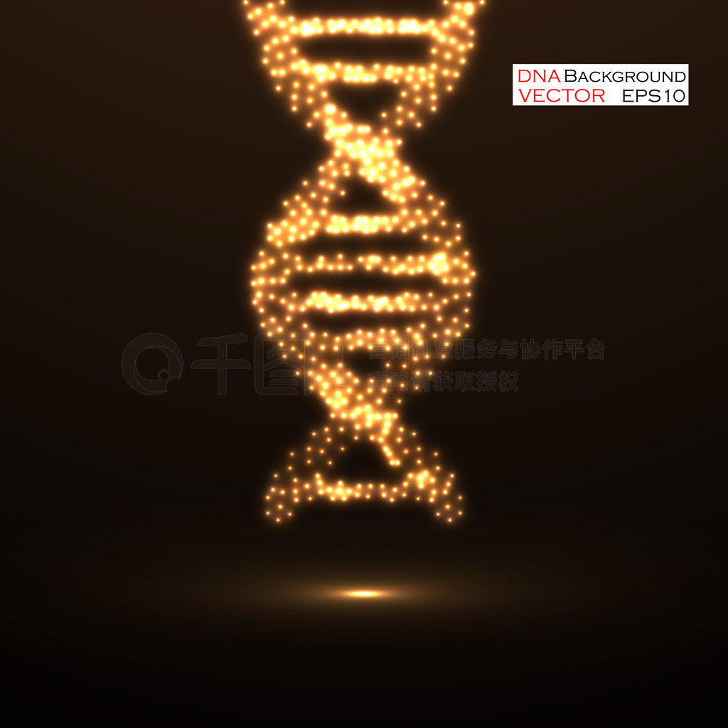  Dna.޺Ƶķӽṹ.ʵ.Eps 10