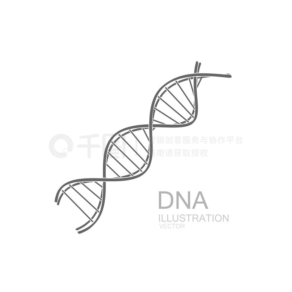 Dna ͼ.