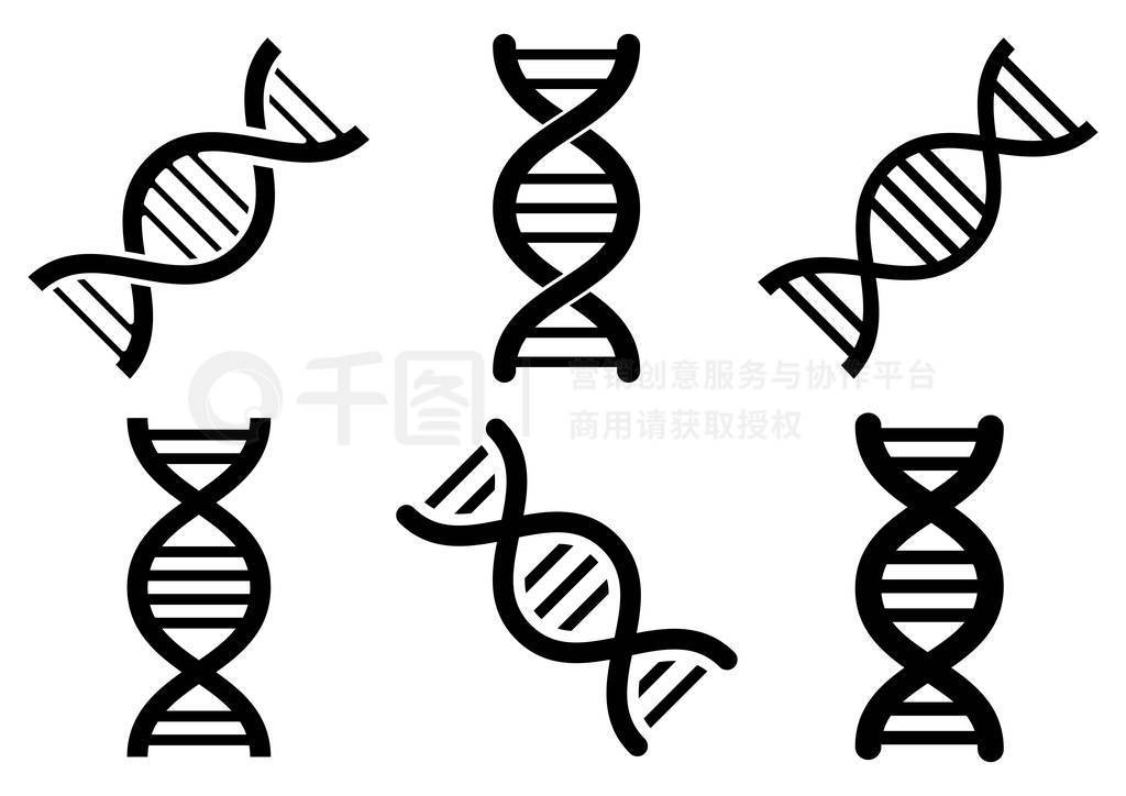 һ DNA ͼ.