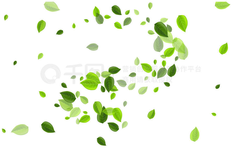 Lime Leaf Organic vector Poster.Ҷ