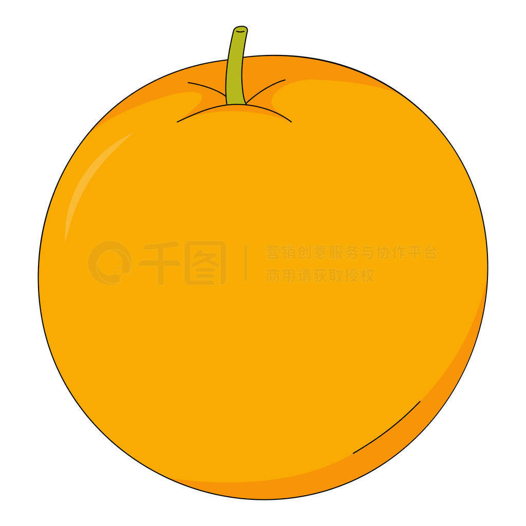 Vector illustration of orange. Fruit in cartoon style. Citrus isolated on white background. Source o