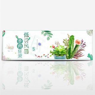 淡绿色小清新多肉花朵绿植淘宝全屏海报banner电商