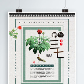 中国风中草药野生三七海报宣传设计