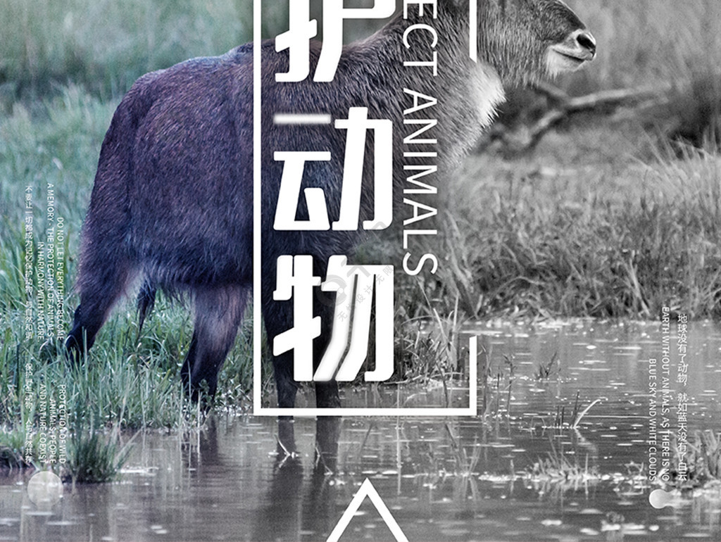 拒絕獵殺保護野生動物海報設計4年前發佈