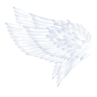白色透明翅膀png元素