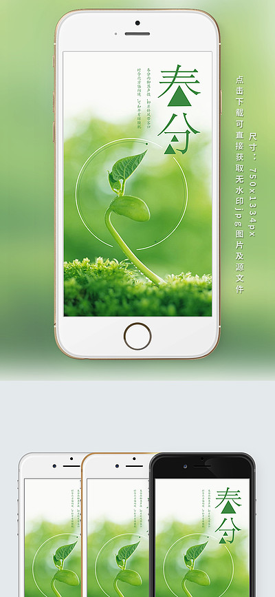 春分节气绿色草地发芽背景手机用图