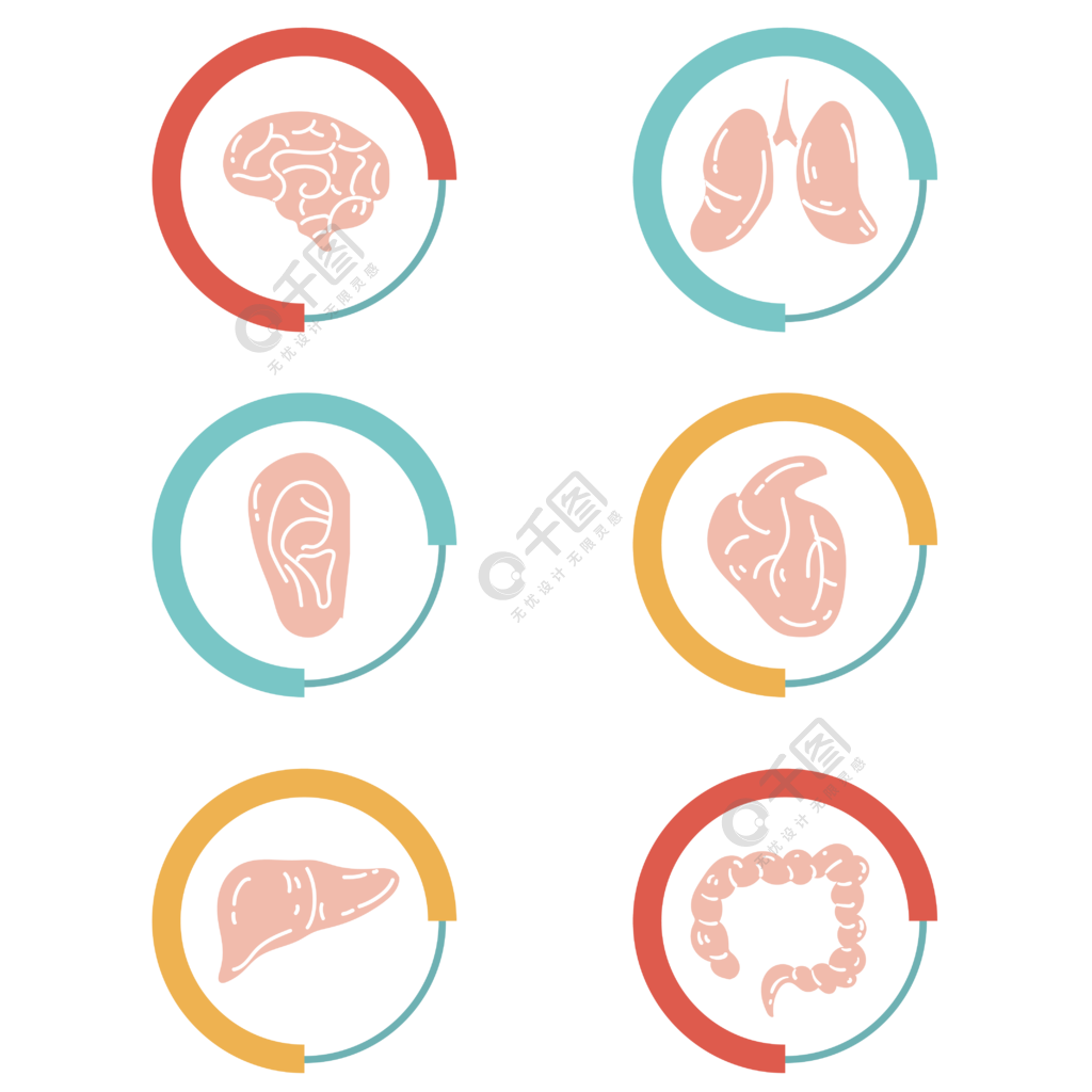 扁平化簡約人體器官圖標