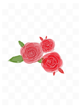 roseֻõˮʻˮõ