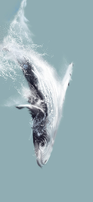 鲸鱼倒立素材图片