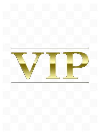 vipɫ߶˴ֿԪ