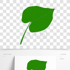 滴水观音植物叶子设计装饰元素AI手绘简约