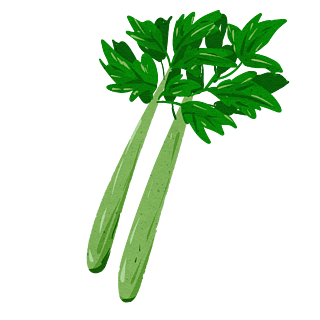 芹菜手绘蔬菜食物卡通插画元素
