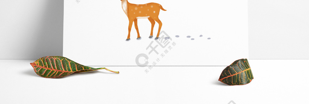 梅花鹿的蹄子脚印形状图片
