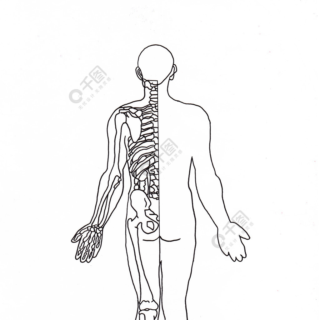手繪黑白線條人體骨骼圖背面