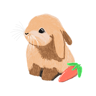 原创可爱手绘动物兔子萝卜插画素材