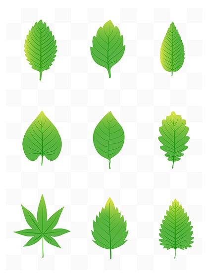 树叶抽象平面设计图片