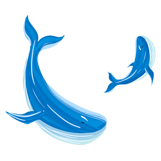 手绘蓝色小鲸鱼浪花分界线原创插画清新鲸鱼你好夏天海报卡通鲸鱼素材