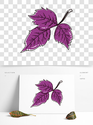 紫苏叶简笔画颜色图片