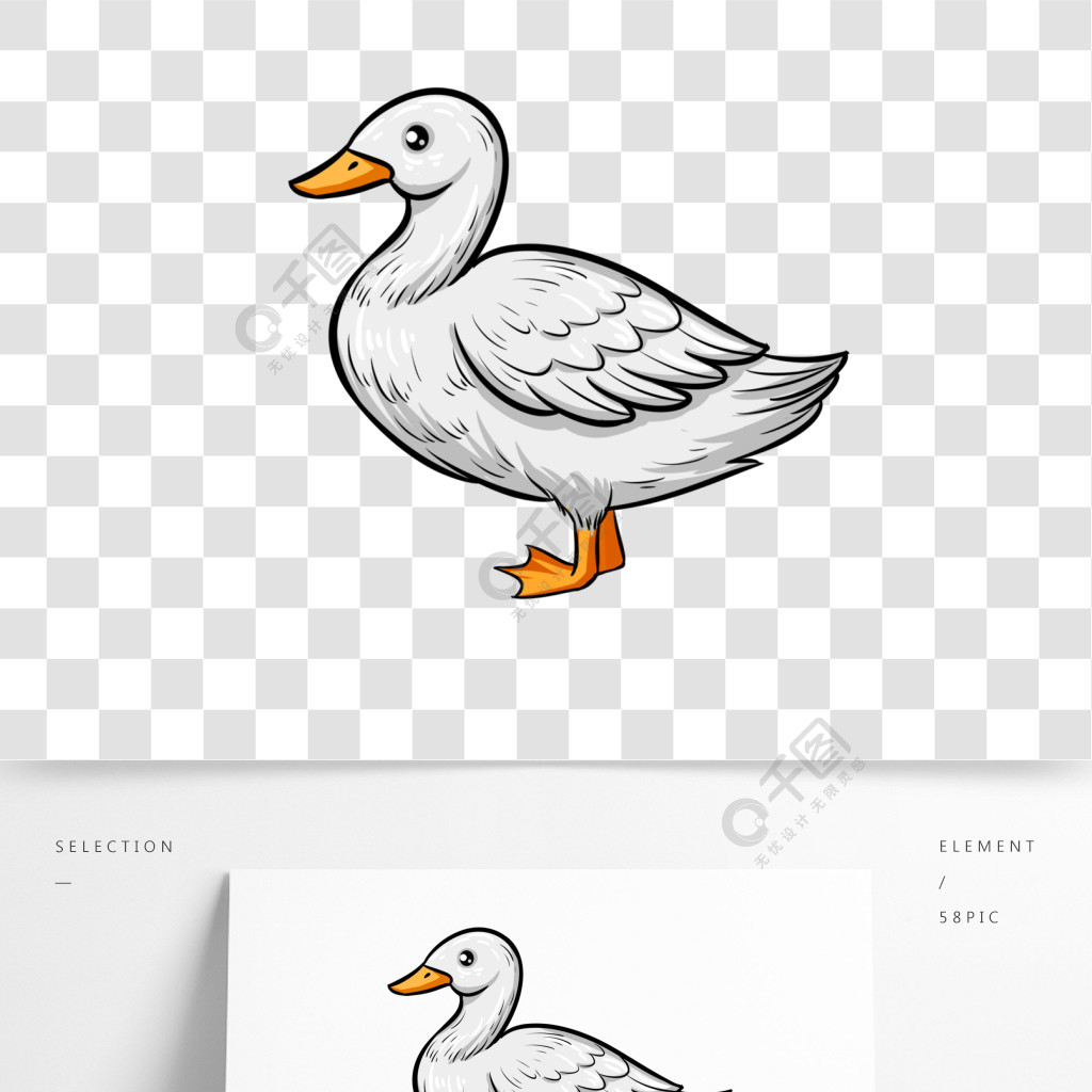 灰色鸭子卡通图图片