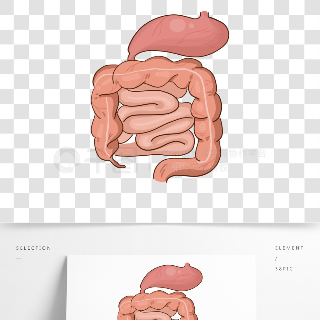 人體器官腸道插畫2年前發佈