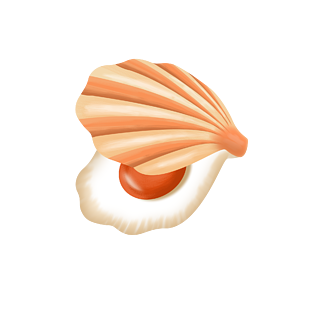 卡通手绘海鲜美食美味贝壳之一个橙色扇贝