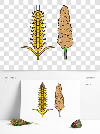 高粱图片简笔画彩色图片