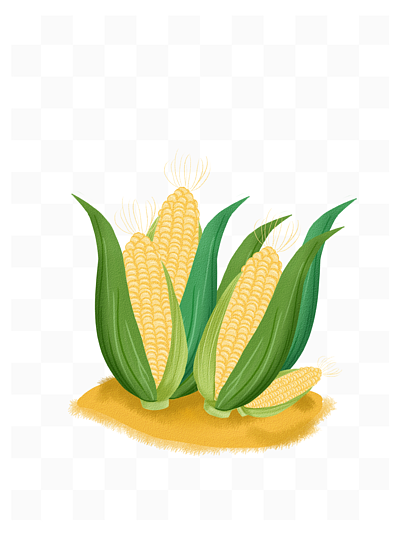 825矢量种植玉米46825519原创可爱卡通玉米和玉米粒手绘农作物元素
