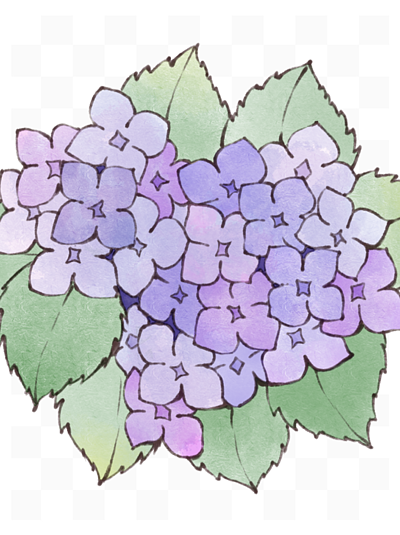 紫色绣球花简笔画图片