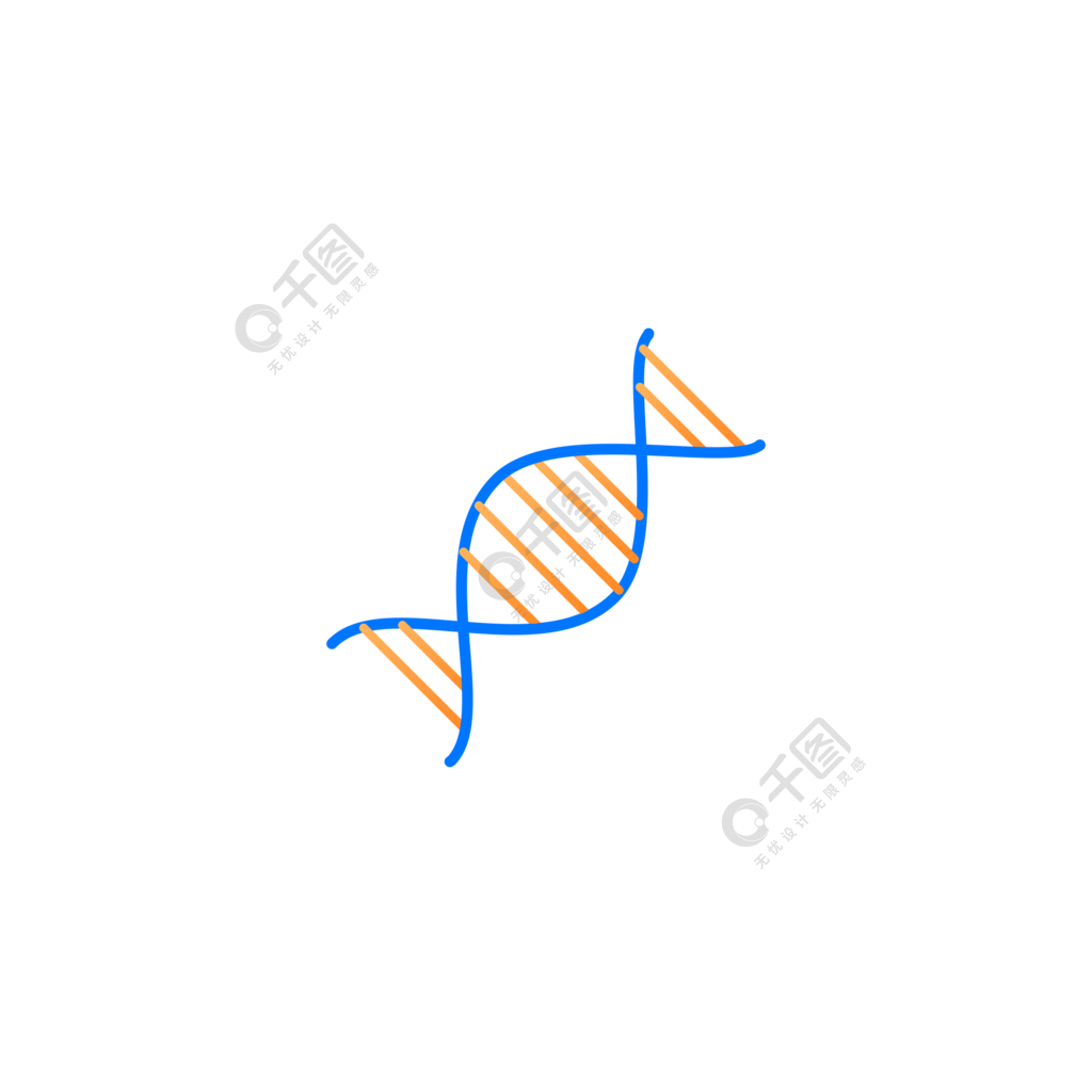 一段手绘的基因链