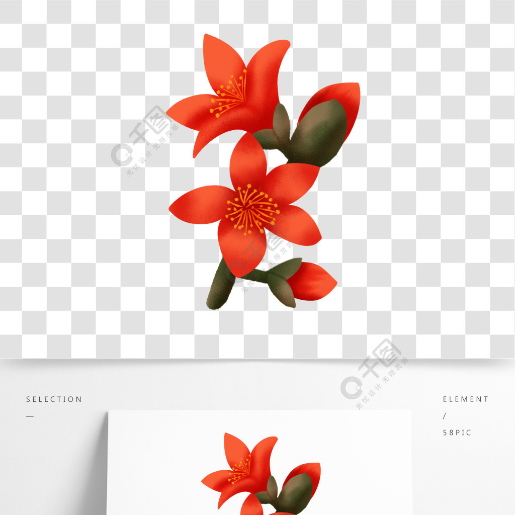 木棉花植物名片图片