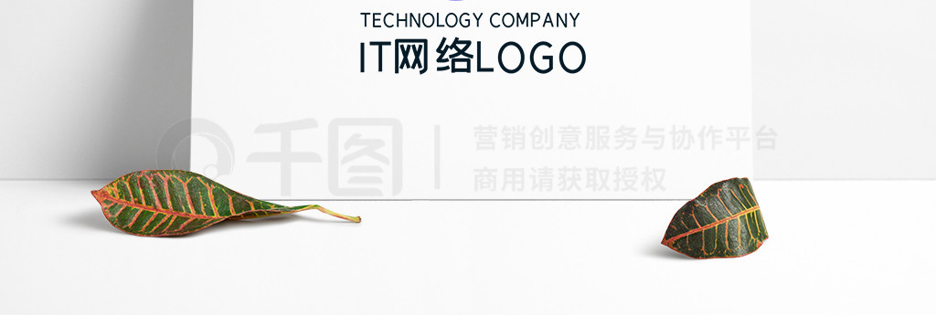 ITLOGO