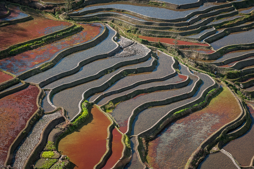 雲南紅河哈尼梯田