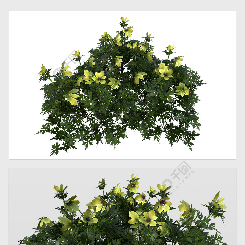 3d模型绿植花草带贴图