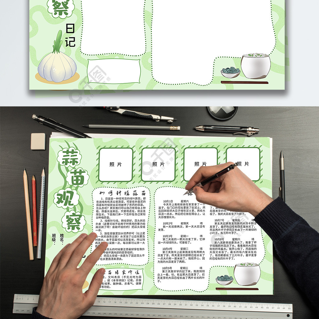 蒜苗觀察日記手抄報小清新觀察小報2年前發佈