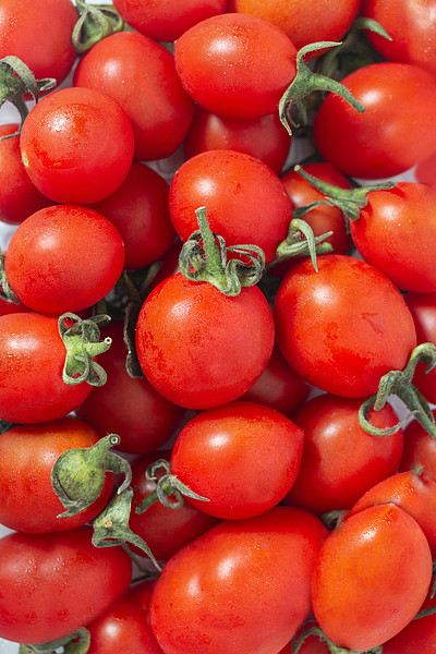 小西红柿圣女果樱桃番茄摄影图