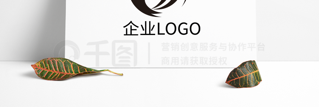 ɫѵlogo