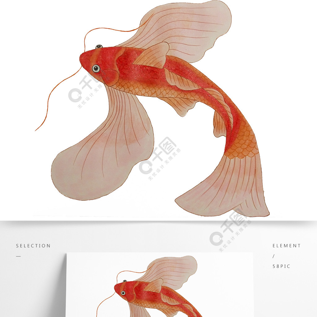 手繪動物插畫紅鯉魚