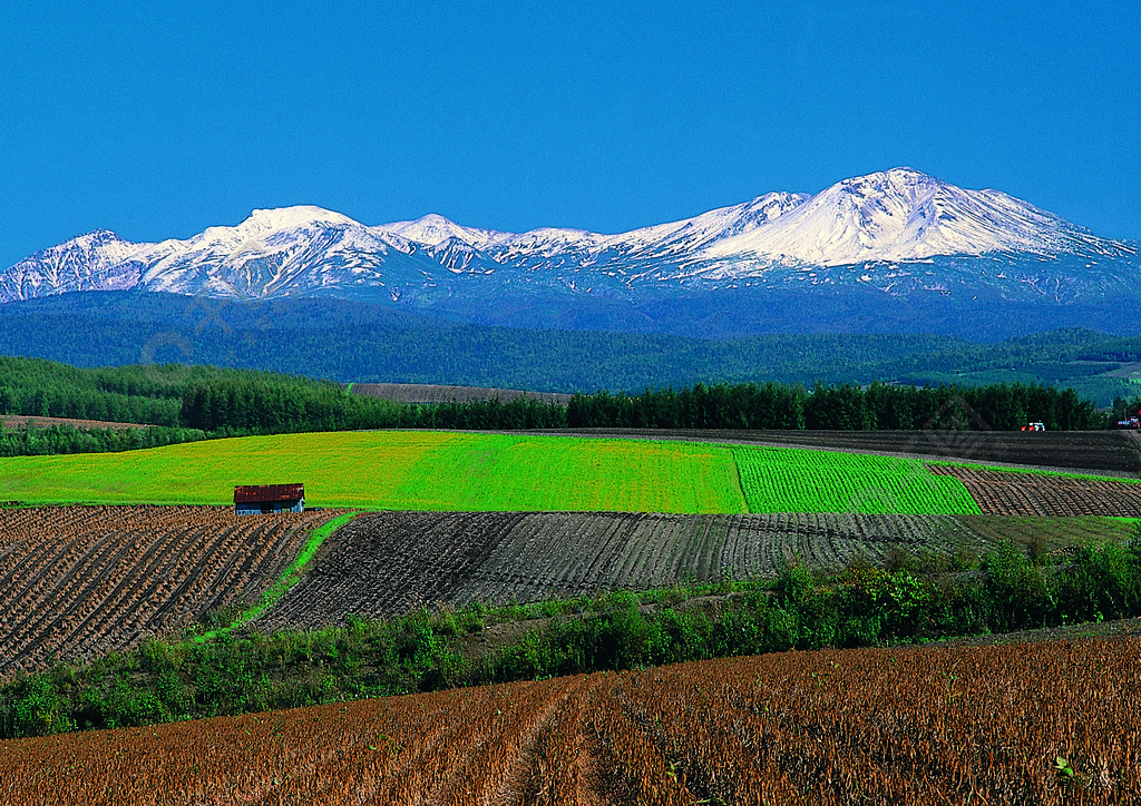 日本北海道草地的美丽景色