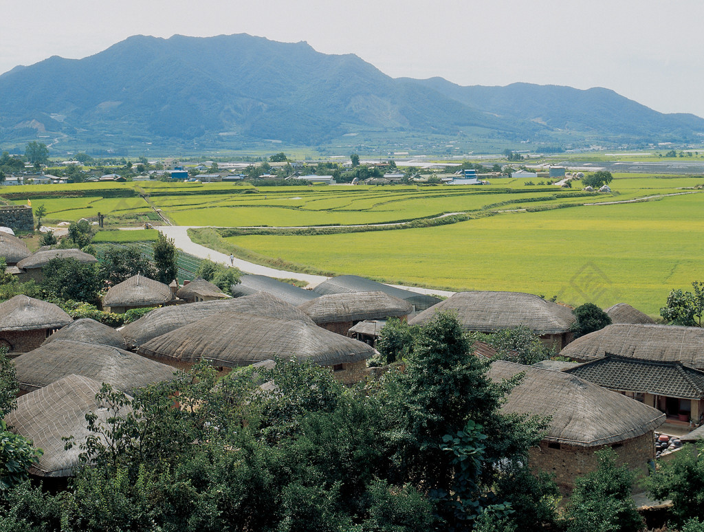 鄉村風光