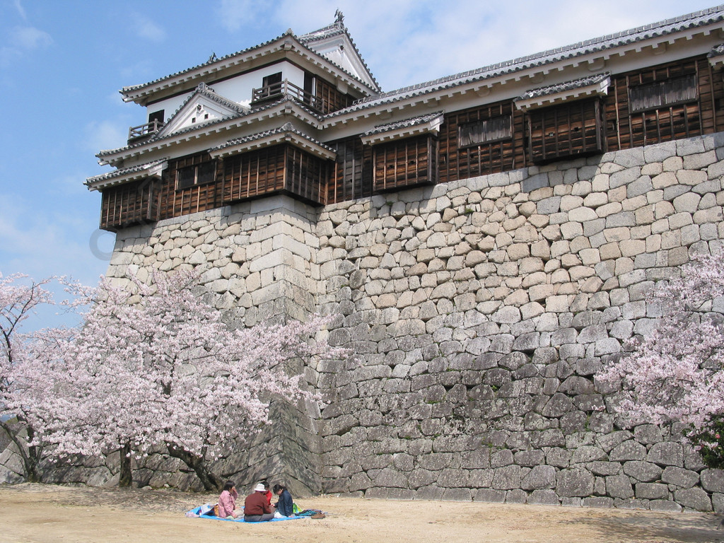 爱媛县松山堡樱花景盘内