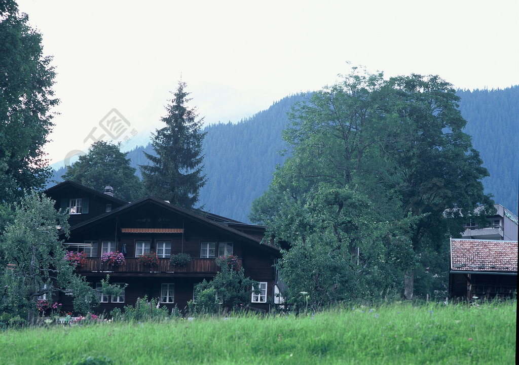 谷仓农场建筑建筑结构房屋乡村乡村旧的家树农场草地天空田野木材木头