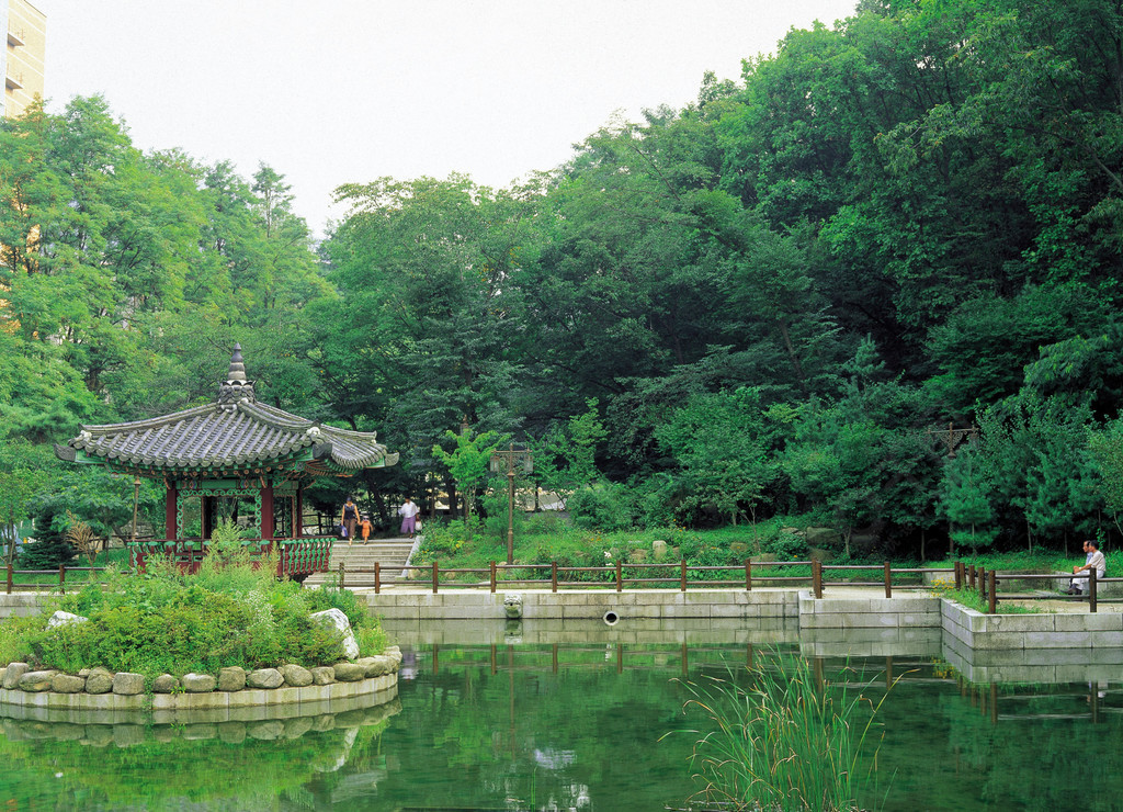 樹木花園木本植物景觀水草建築建築維管植物公園湖泊夏季樹木河流池塘