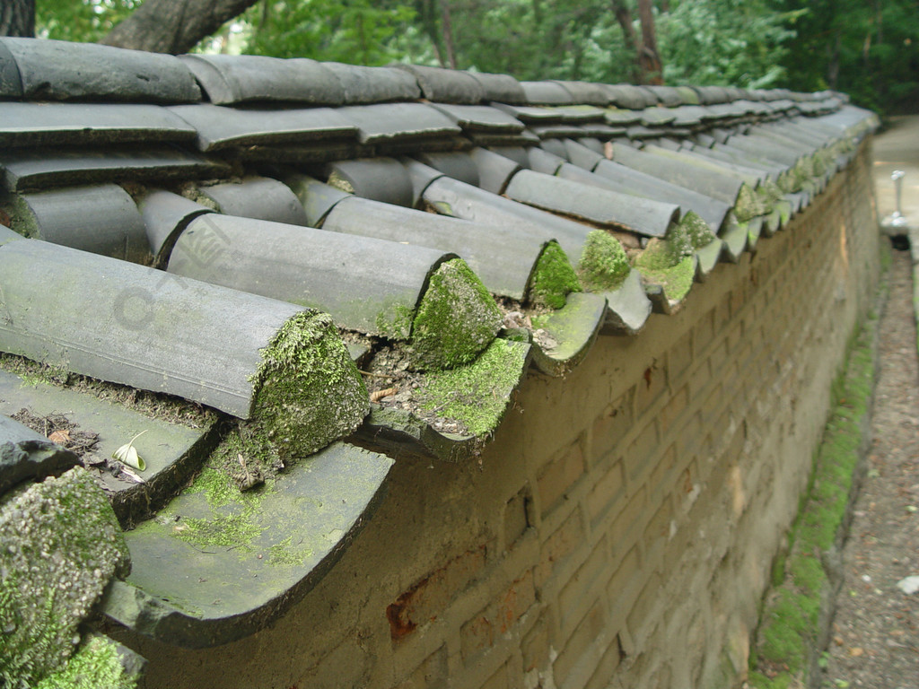 舊建築圍牆城市景觀樹木保護層屏障旅遊草地古老建築石牆房子城鎮花園