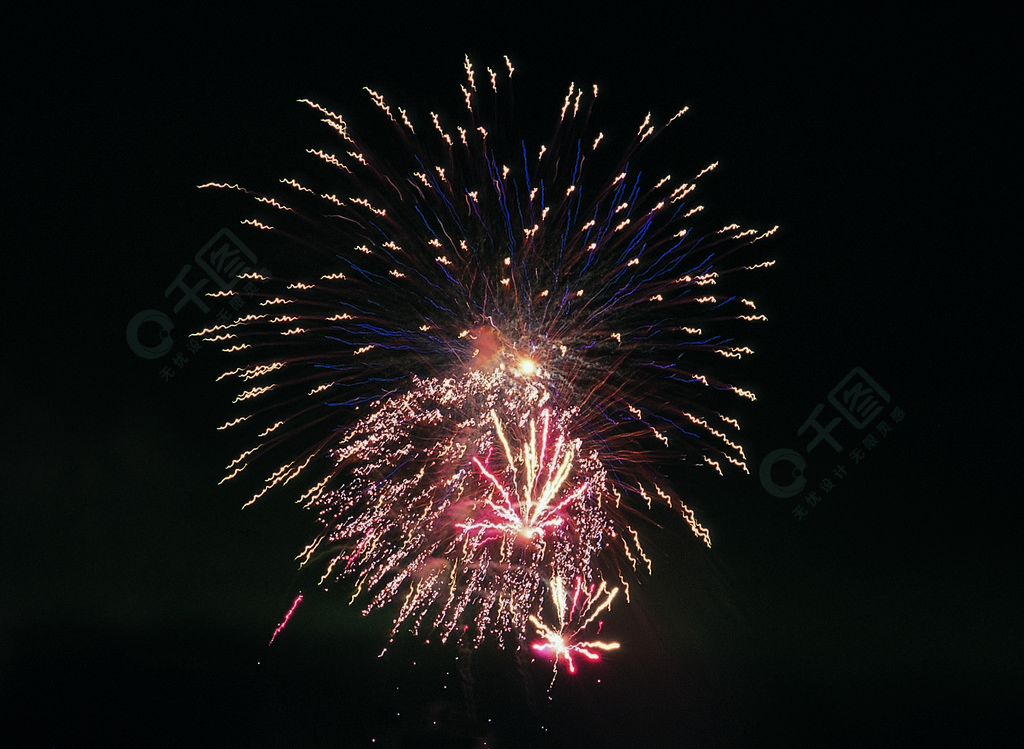 煙花煙花海膽炸晚上慶祝棘皮動物節日節日爆炸慶祝火無脊椎動物新天空